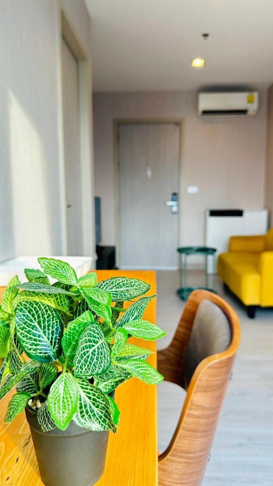 Bts Thonglor Luxury 35sqm With Pool & Sauna בנגקוק